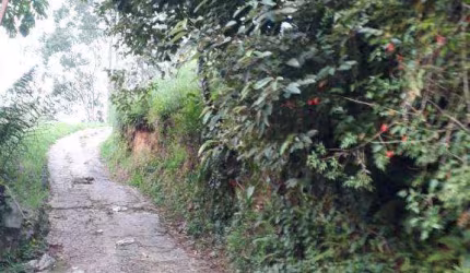 Terreno à venda, 14431 m² por R$ 2.800.000,00 - Ipês (Polvilho) - Cajamar/SP