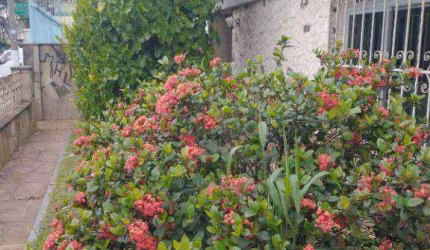CASA TERREA