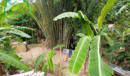 Terreno à venda, 3523 m² por R$ 1.000.000,00 - Jardim Belizário - Cotia/SP