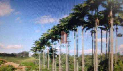 Terreno residencial à venda, Jardim São Marcos, Itatiba.