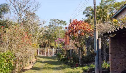 Sítio à venda, 45000 m² por R$ 850.000,00 - Vila Andrade - Mogi das Cruzes/SP