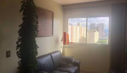 Apartamento com 3 dormitórios à venda, 60 m² por R$ 430.000,00 - Vila Zilda - São Paulo/SP