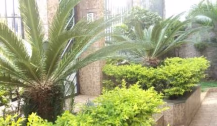 Apartamento com 3 quartos à venda na Rua Leopoldo Campos Nunes, --, Manacás, Belo Horizonte por R$ 380.000