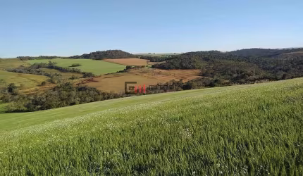 Sítio de 12,79 alqueires à venda - R$. 3.200.000,00,  na zona sul de Londrina, aproximadamente 20 k
