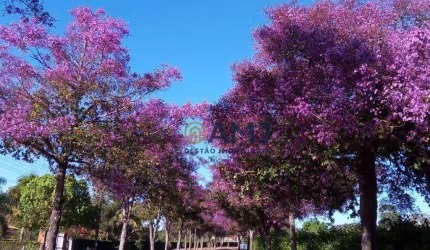 ?? Viva a tranquilidade e o contato com a natureza no Condomínio Alto da Boa Vista! ??