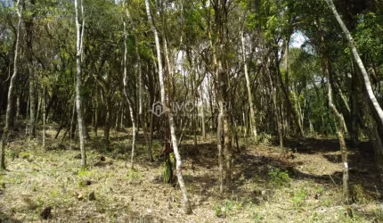 Terreno Condomínio Rural para Venda em Rancho Queimado, Centro