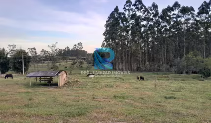 Chácara à venda no bairro Centro - São João do Sul/SC
