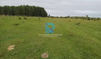 Chácara 16.5 hectares Capivari Do Sul-Rs