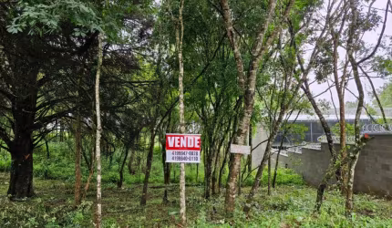 Terreno à venda, 480 m² por R$190.000,00 - Guatupe - São José dos Pinhais/PR