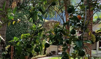 Vende-se lindo sitio em Piranga