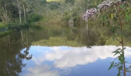 Vende-se uma fazenda em Ouro Branco/MG para preservação.