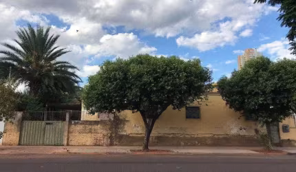 Terreno amplo