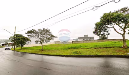 'Terreno Exclusivo no Residencial Alvim – Natureza e Tranquilidade!'