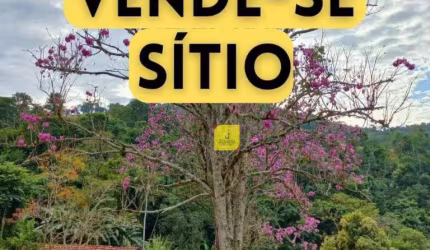 Sítio com 7,5 alqueires mineiros, com várias nascente, em São José das Três Ilhas.