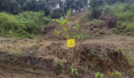 Terreno à venda, 360 m² por R$ 260.000,00 - São Pedro - Juiz de Fora/MG