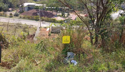 Terreno à venda, 250 m² por R$ 100.000,00 - Residencial Santa Lola - Juiz de Fora/MG