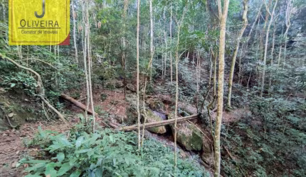 Sítio de 6,3Ha com Chalé e 2 Açudes à 12km de Igrejinha - (No Maracujá-BR 267).