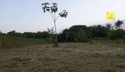 Excelente Terreno, totalmente plano, com 2.000m², na Barra, à apenas 2 Km