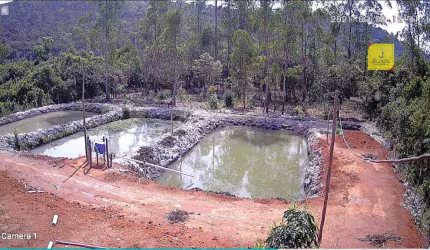 Pesque e Pague à venda, com terreno de 6000m² por R$175.000,00 - Na estrada de Torreões (Juiz de Fora)/MG.