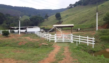 Fazenda à venda, Centro - Marliéria/MG