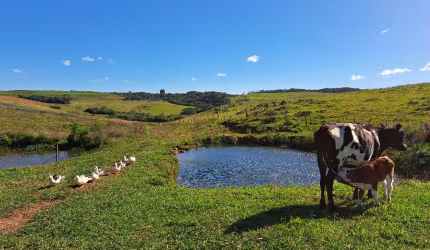 Chácara próxima ao asfalto