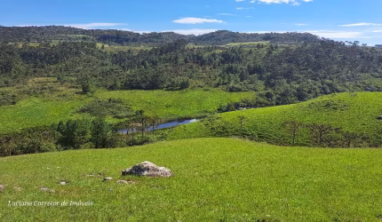 Pedaço do paraíso