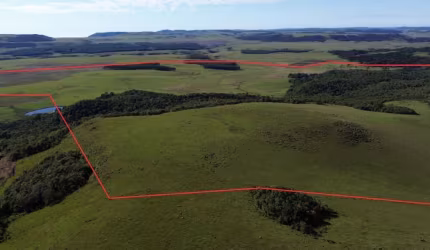 Fazenda pronta para Pecuária