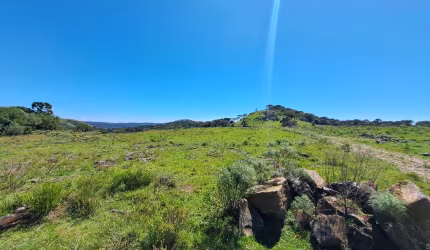 Chácara 3,5 hectares