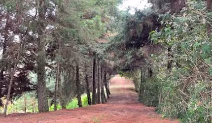 Chácara 2 hectares - 2,5 km do centro de Campo Magro