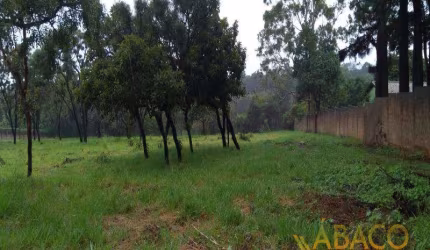 Residencial - Jardim Tangara