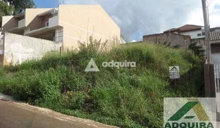 Terreno à venda 427M², Estrela, Ponta Grossa - PR