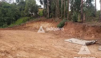 Terreno à venda 2156M², Nova Rússia, Ponta Grossa - PR