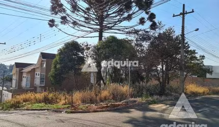 Terreno à venda 540M², Estrela, Ponta Grossa - PR