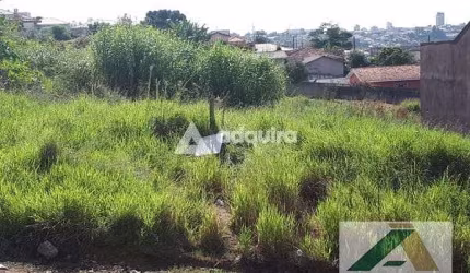 Terreno à Venda, Contorno, Ponta Grossa, PR