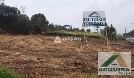 Terreno à venda 564.25M², Estrela, Ponta Grossa - PR