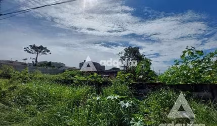 Terreno à venda 490M², Oficinas, Ponta Grossa - PR