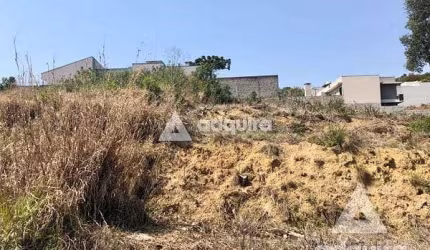 Terreno à venda 802.26M², Estrela, Ponta Grossa - PR