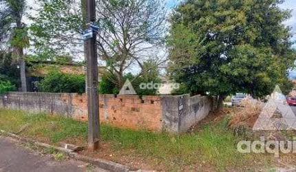 Terreno à venda 1 Quarto, 1 Vaga, 250M², Oficinas, Ponta Grossa - PR