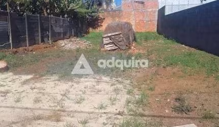 Terreno à venda 330M², Boa Vista, Ponta Grossa - PR