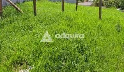 Terreno à venda 528M², Jardim Carvalho, Ponta Grossa - PR