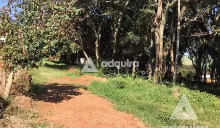 Terreno à venda 1716M², Centro, Carambeí - PR