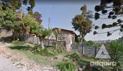 Terreno à venda 3 Quartos, 1600M², Nova Rússia, Ponta Grossa - PR