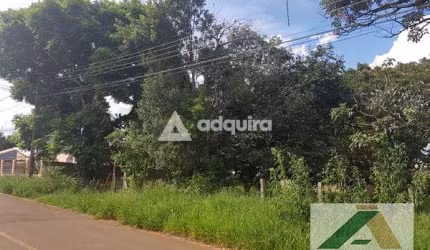 Terreno à venda 462M², Uvaranas, Ponta Grossa - PR