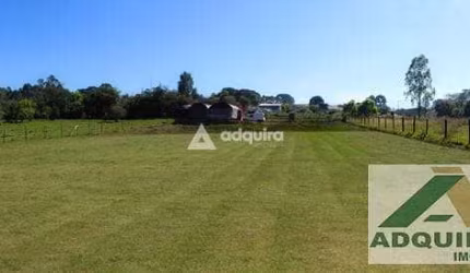 Terreno à venda e locação 2948M², Uvaranas, Ponta Grossa - PR