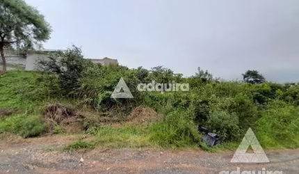 Terreno à venda 490M², Uvaranas, Ponta Grossa - PR