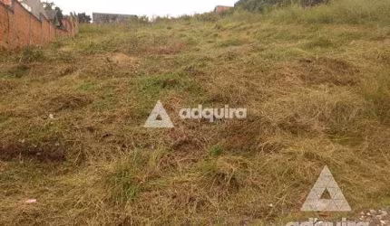 Terreno à venda 462M², Uvaranas, Ponta Grossa - PR