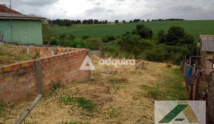 Terreno à venda 253M², Cachoeira, Cara-cará, Ponta Grossa - PR