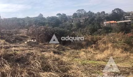 Terreno à venda 348.34M², Chapada, Ponta Grossa - PR