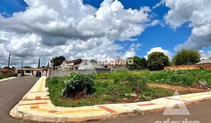 Terreno à venda 376.5M², Neves, Ponta Grossa - PR