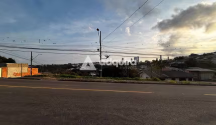 Terreno de Esquina à Venda - Vila Coronel Cláudio - Na Avenida Ana Rita, com 462m² de terreno (14m